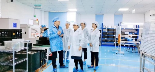 攜手共進(jìn)，共創(chuàng)未來——深圳擔(dān)保集團(tuán)蒞臨云里物里考察指導(dǎo)軟件開發(fā)工作